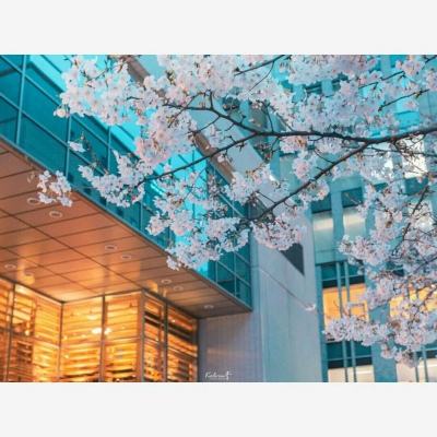 三亿体育app平台截图